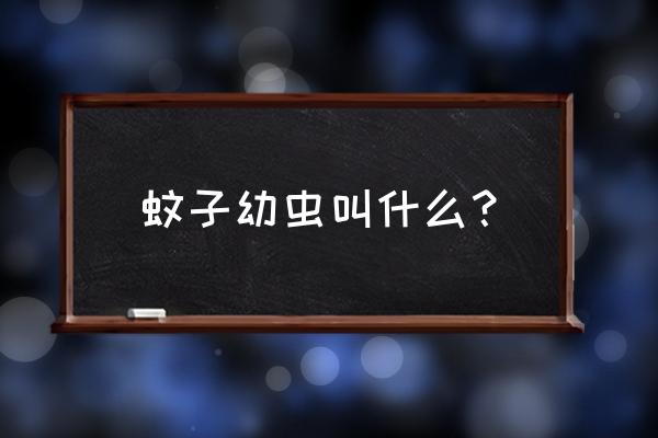 蚊子的幼虫是什么 蚊子幼虫叫什么？