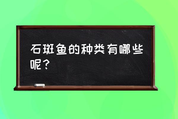 大石斑鱼种类 石斑鱼的种类有哪些呢？