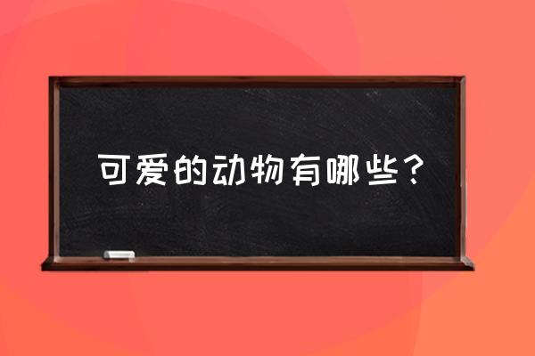 可爱的动物有哪些 可爱的动物有哪些？