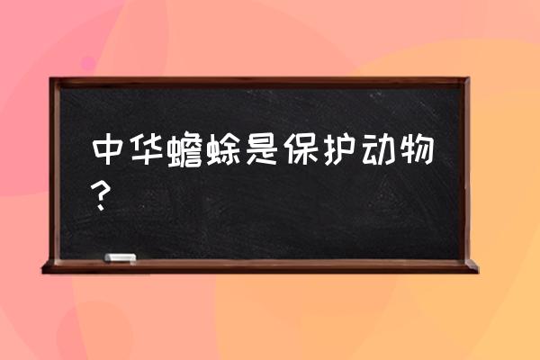 中华大蟾蜍是保护动物吗 中华蟾蜍是保护动物？