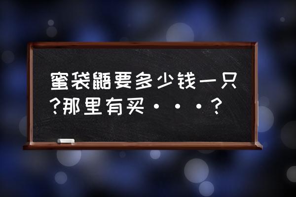 便宜蜜袋鼯多少钱一只 蜜袋鼯要多少钱一只?那里有买···？