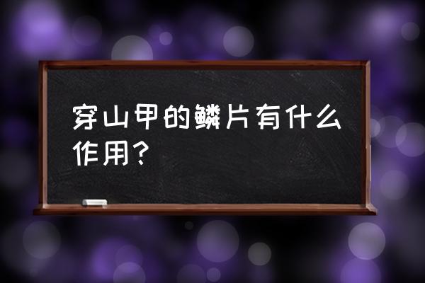 佩戴穿山甲鳞片的作用 穿山甲的鳞片有什么作用？