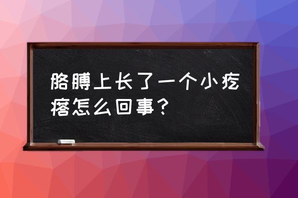 胳膊上突然长出一个小疙瘩 胳膊上长了一个小疙瘩怎么回事？