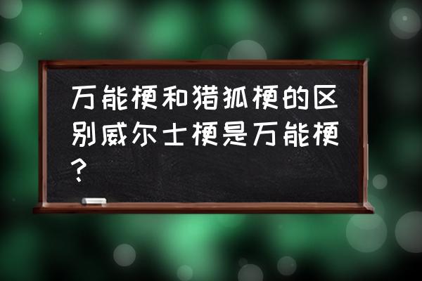 威尔士梗和猎狐梗 万能梗和猎狐梗的区别威尔士梗是万能梗？