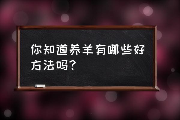 如何去养羊 你知道养羊有哪些好方法吗？