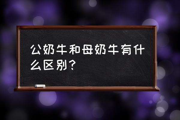 公奶牛和母奶牛的区别 公奶牛和母奶牛有什么区别？