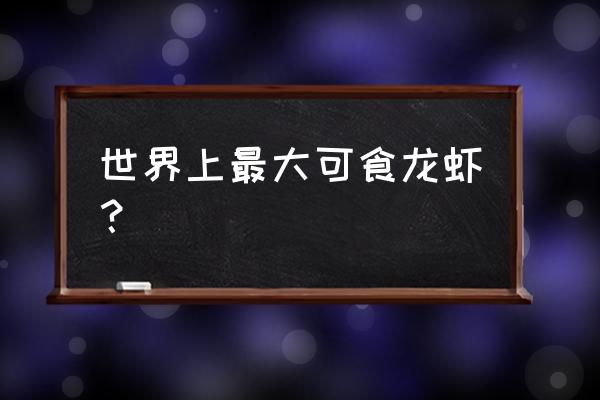 巨型龙虾叫什么 世界上最大可食龙虾？