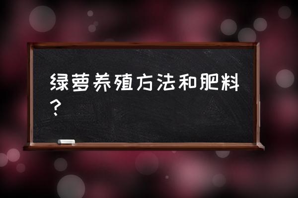 绿萝的养殖方法和施肥 绿萝养殖方法和肥料？