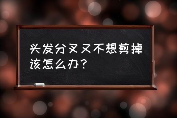 头发分叉不想剪怎么办 头发分叉又不想剪掉该怎么办？