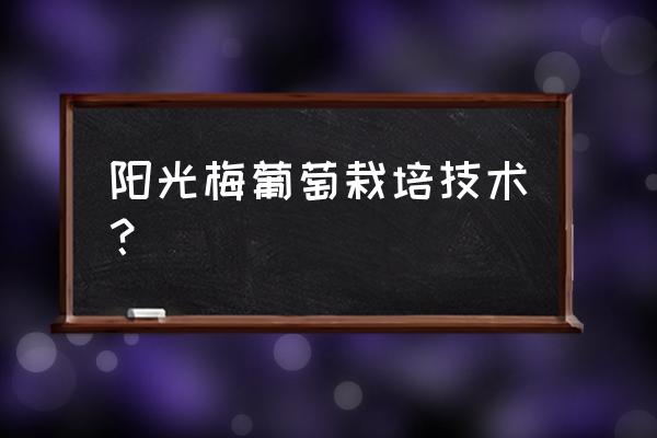 阳光玫瑰葡萄树的种植方法 阳光梅葡萄栽培技术？