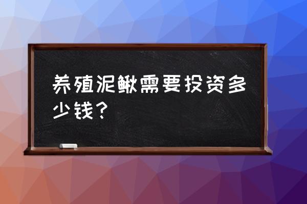 养泥鳅一亩投资多少钱 养殖泥鳅需要投资多少钱？