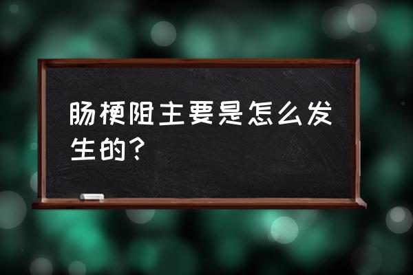 轻微肠梗阻怎么引起的 肠梗阻主要是怎么发生的？