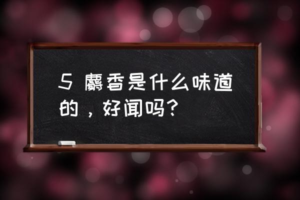 麝香十大功效 5 麝香是什么味道的，好闻吗？