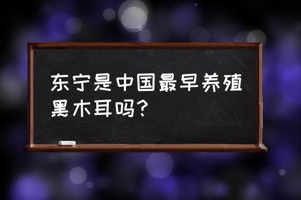 东宁木耳菌 东宁是中国最早养殖黑木耳吗？