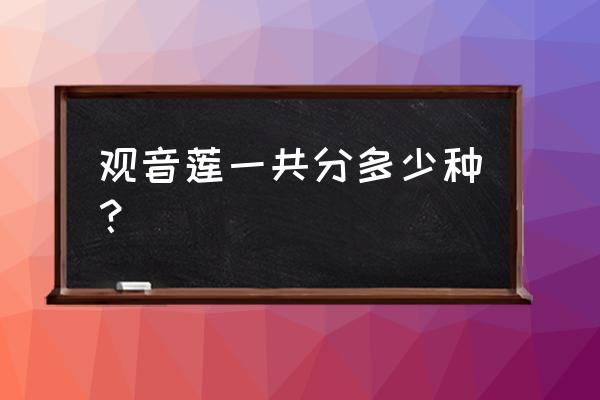 观音莲有几种 观音莲一共分多少种？