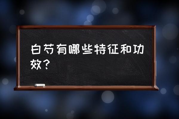 白芍总苷用法 白芍有哪些特征和功效？