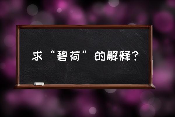 碧莲的寓意是什么意思 求“碧荷”的解释？