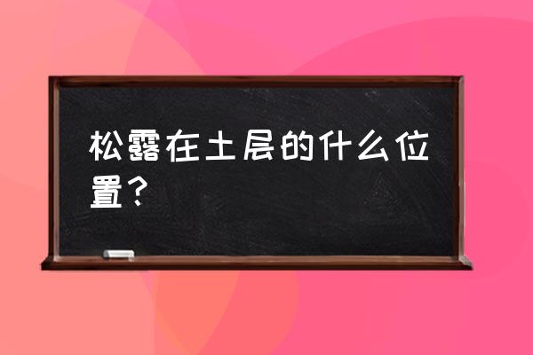 松露生长在什么地方 松露在土层的什么位置？