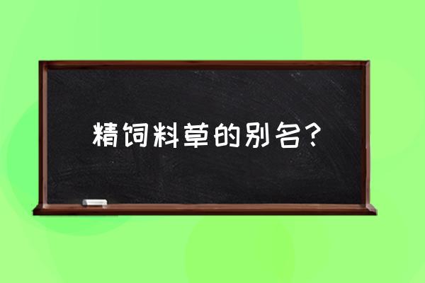 豆科牧草包括 精饲料草的别名？