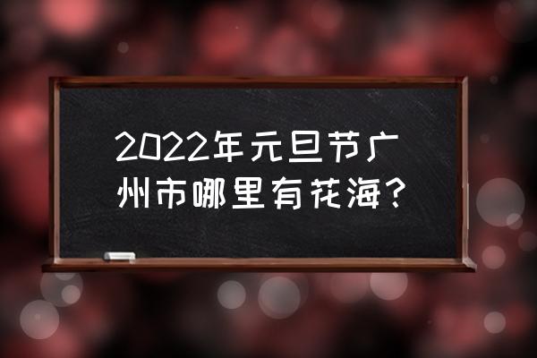 花都区香草世界详细介绍 2022年元旦节广州市哪里有花海？