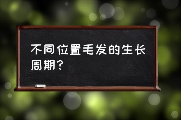 毛发生长周期分为 不同位置毛发的生长周期？