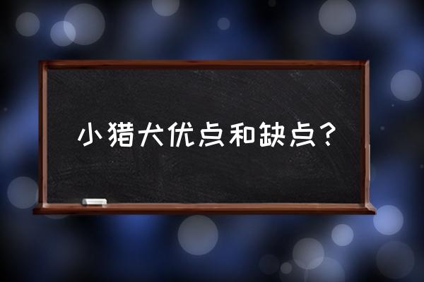 查理士王小猎犬优缺点 小猎犬优点和缺点？