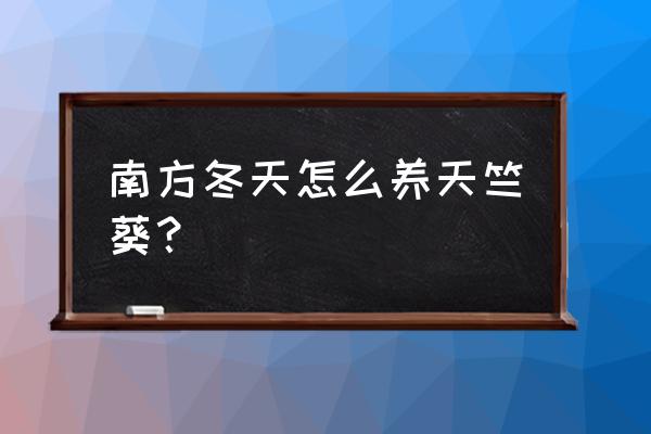 天竺葵冬季养殖方法 南方冬天怎么养天竺葵？