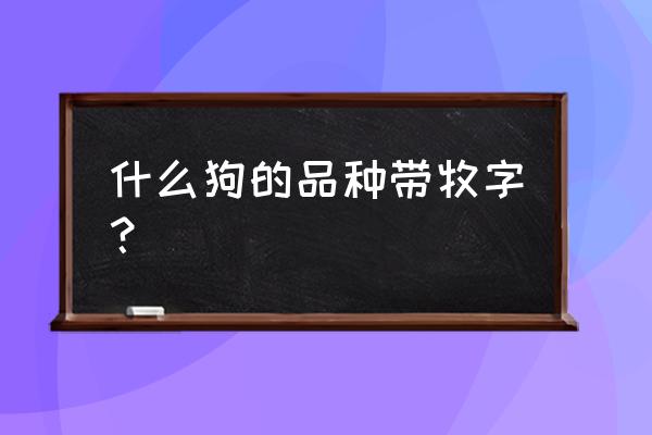 牧牛犬德国 什么狗的品种带牧字？