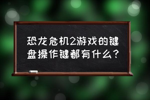 恐龙危机2重制版 恐龙危机2游戏的键盘操作键都有什么？