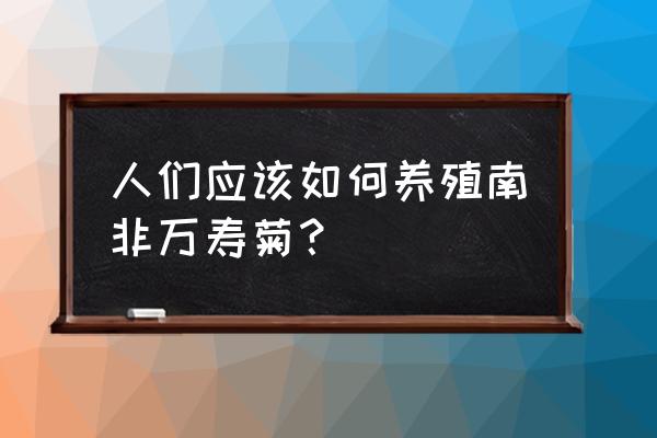 南非万寿菊介绍 人们应该如何养殖南非万寿菊？