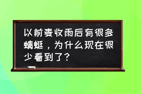 玉带蟹豆腐制作方法 以前麦收雨后有很多蜻蜓，为什么现在很少看到了？