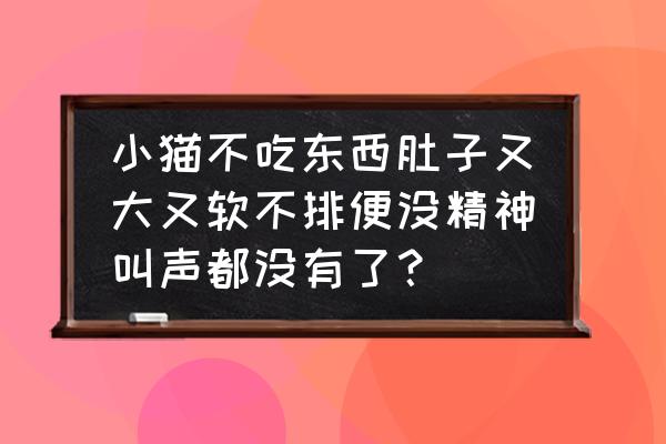 女人肚子特别软怎么办 小猫不吃东西肚子又大又软不排便没精神叫声都没有了？