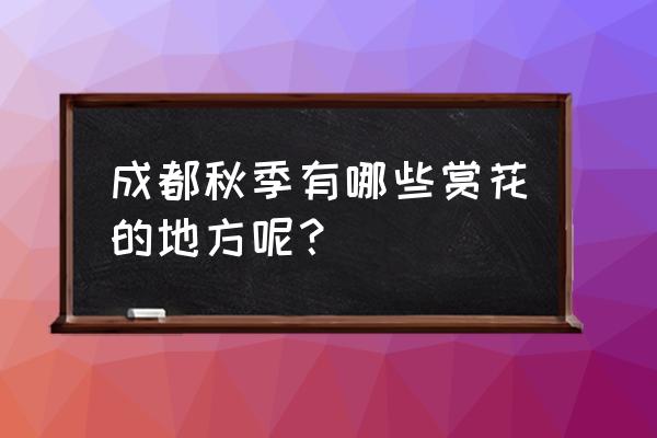 这几天成都哪里赏花最好看 成都秋季有哪些赏花的地方呢？