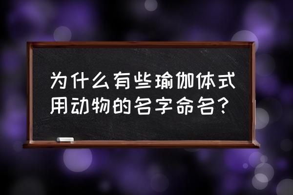 海豚式瑜伽动作练什么 为什么有些瑜伽体式用动物的名字命名？