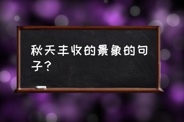 农民丰收喜悦的句子 秋天丰收的景象的句子？