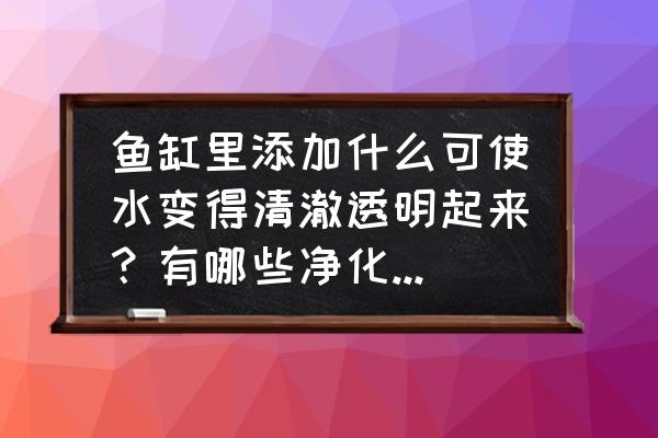 怎么训练孩子不怕水 鱼缸里添加什么可使水变得清澈透明起来？有哪些净化水质的方法？