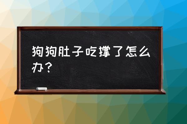 吃一斤健胃消食片会吃撑吗 狗狗肚子吃撑了怎么办？