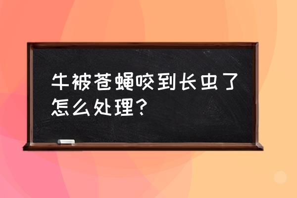 中药生虫了要怎样处理 牛被苍蝇咬到长虫了怎么处理？