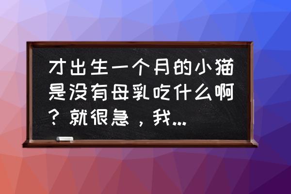 宝宝刚出生需要喂吃的吗 才出生一个月的小猫是没有母乳吃什么啊？就很急，我都怕它饿死了，这附近也没有宠物店啥的，急？