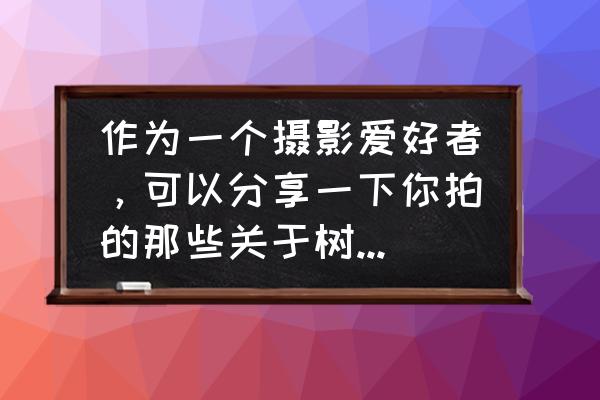 武安东太行景区地图 作为一个摄影爱好者，可以分享一下你拍的那些关于树和树林的照片吗？