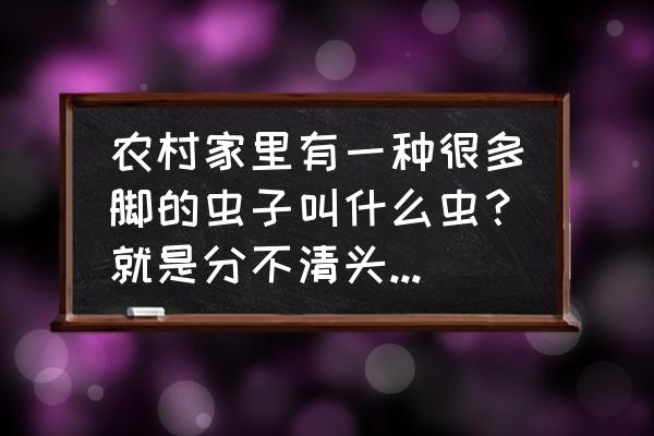 蜈蚣一共有几条腿 农村家里有一种很多脚的虫子叫什么虫？就是分不清头尾的那种？