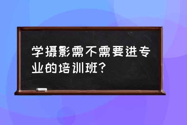 免费摄影课 学摄影需不需要进专业的培训班？