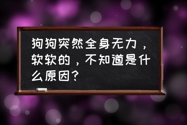 全身没劲是什么原因 狗狗突然全身无力，软软的，不知道是什么原因？