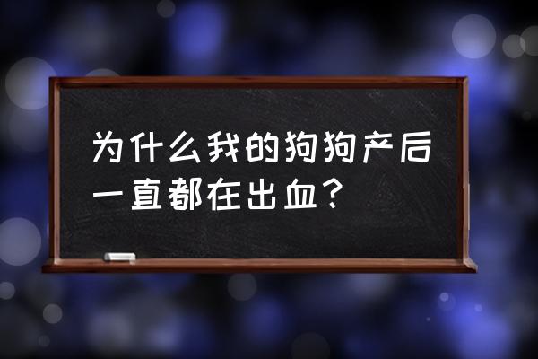 产后大便出血是怎么回事 为什么我的狗狗产后一直都在出血？