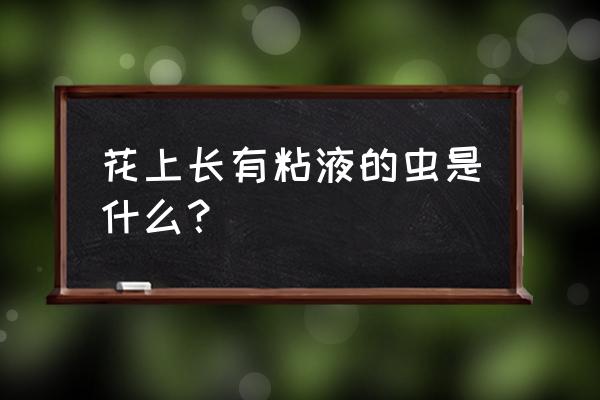 粘液丝偏高600多怎么回事 花上长有粘液的虫是什么？