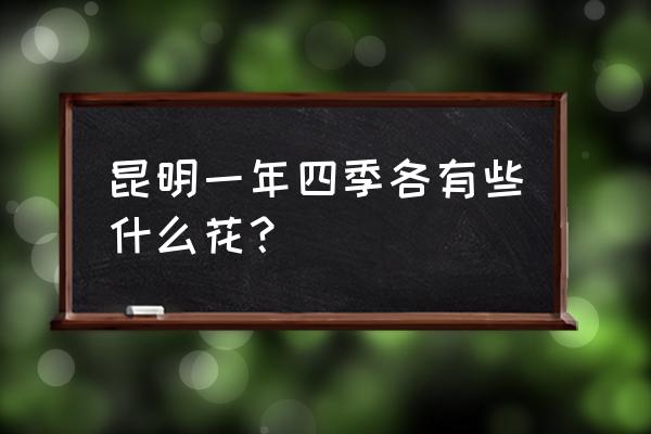 云南昆明鲜花市场图片 昆明一年四季各有些什么花？