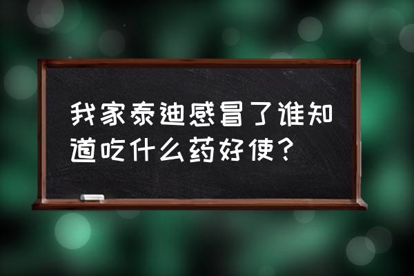 胃肠道感冒吃什么食物 我家泰迪感冒了谁知道吃什么药好使？