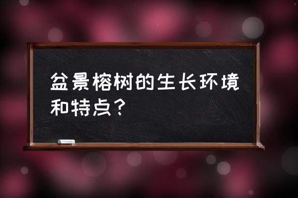 榕树有什么特点 盆景榕树的生长环境和特点？