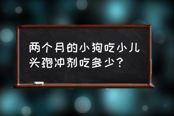 头孢颗粒儿童用量 两个月的小狗吃小儿头孢冲剂吃多少？